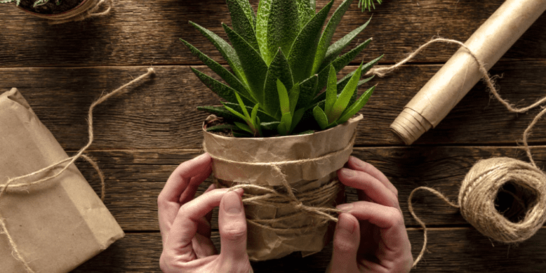 Can Paper Bags Protect Plants From Frost