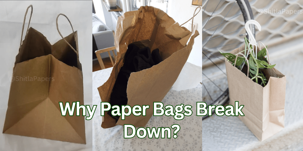 Why Paper Bags Break Down?