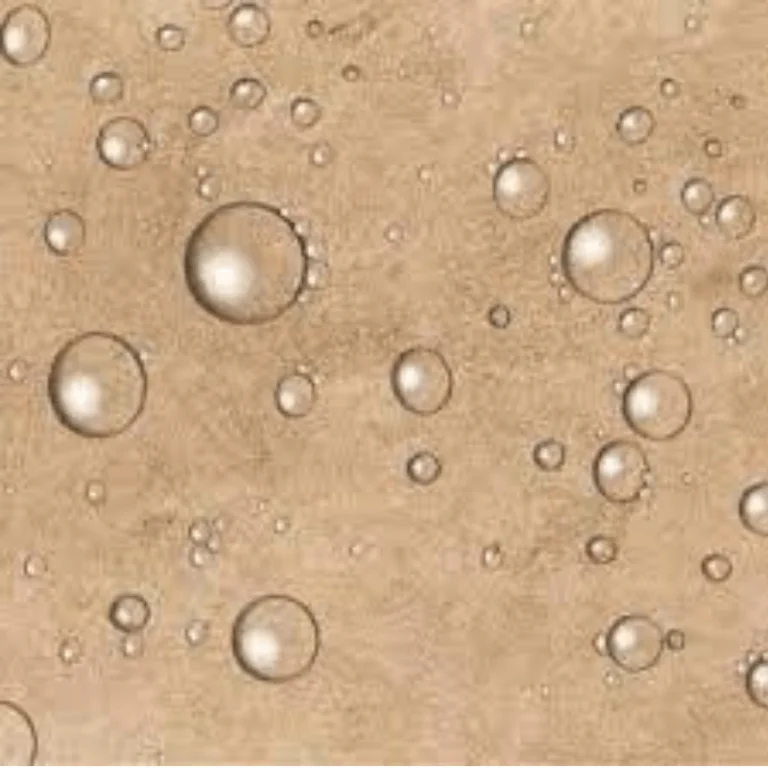 Barrier Coating Paper (1)