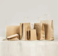Carry Bag Paper Supplier and Exporter