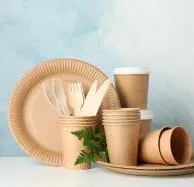 Baggase Based Disposable Crockery