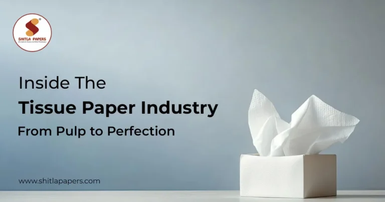 Inside the Tissue Paper Industry: From Pulp to Perfection