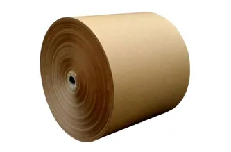 Wet Strength Absorbent Kraft Paper (WSA Kraft Paper)​